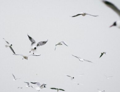 SPIRITO IN AZIONE