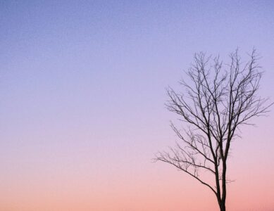 Il vento dell’amore